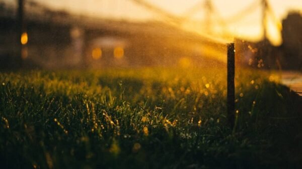 Atlanta Irrigation Landscape