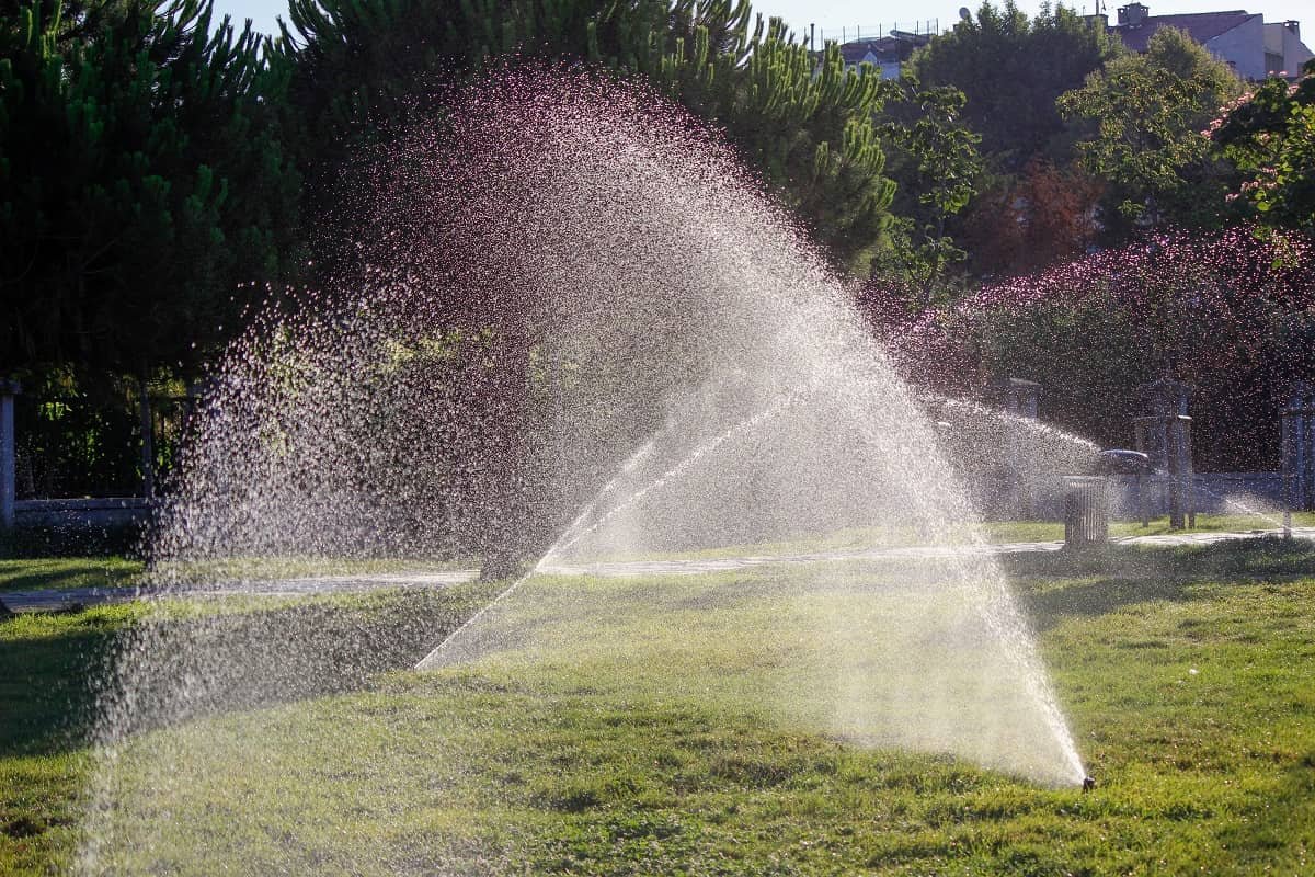 Atlanta Irrigation and Landscaping Services